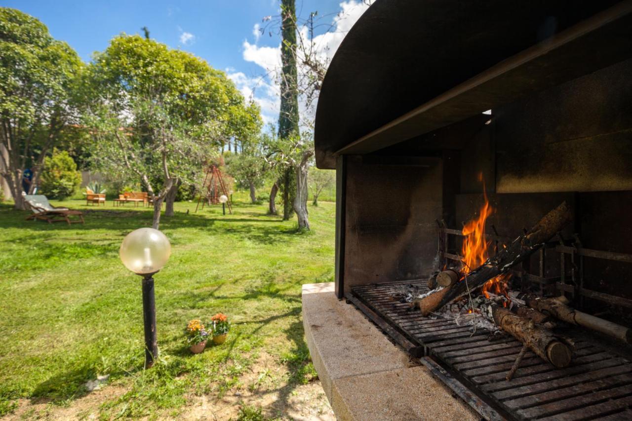 Artemisia Negli Ulivi B&B Magliano in Toscana Εξωτερικό φωτογραφία