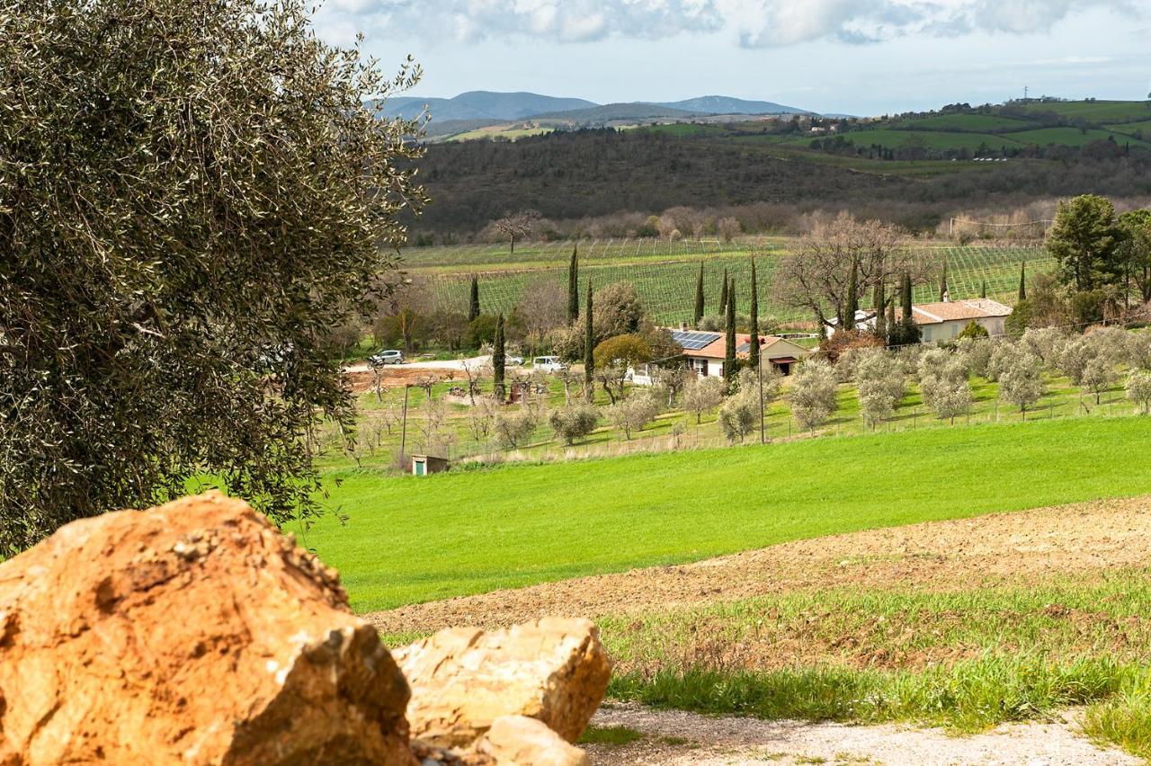 Artemisia Negli Ulivi B&B Magliano in Toscana Εξωτερικό φωτογραφία