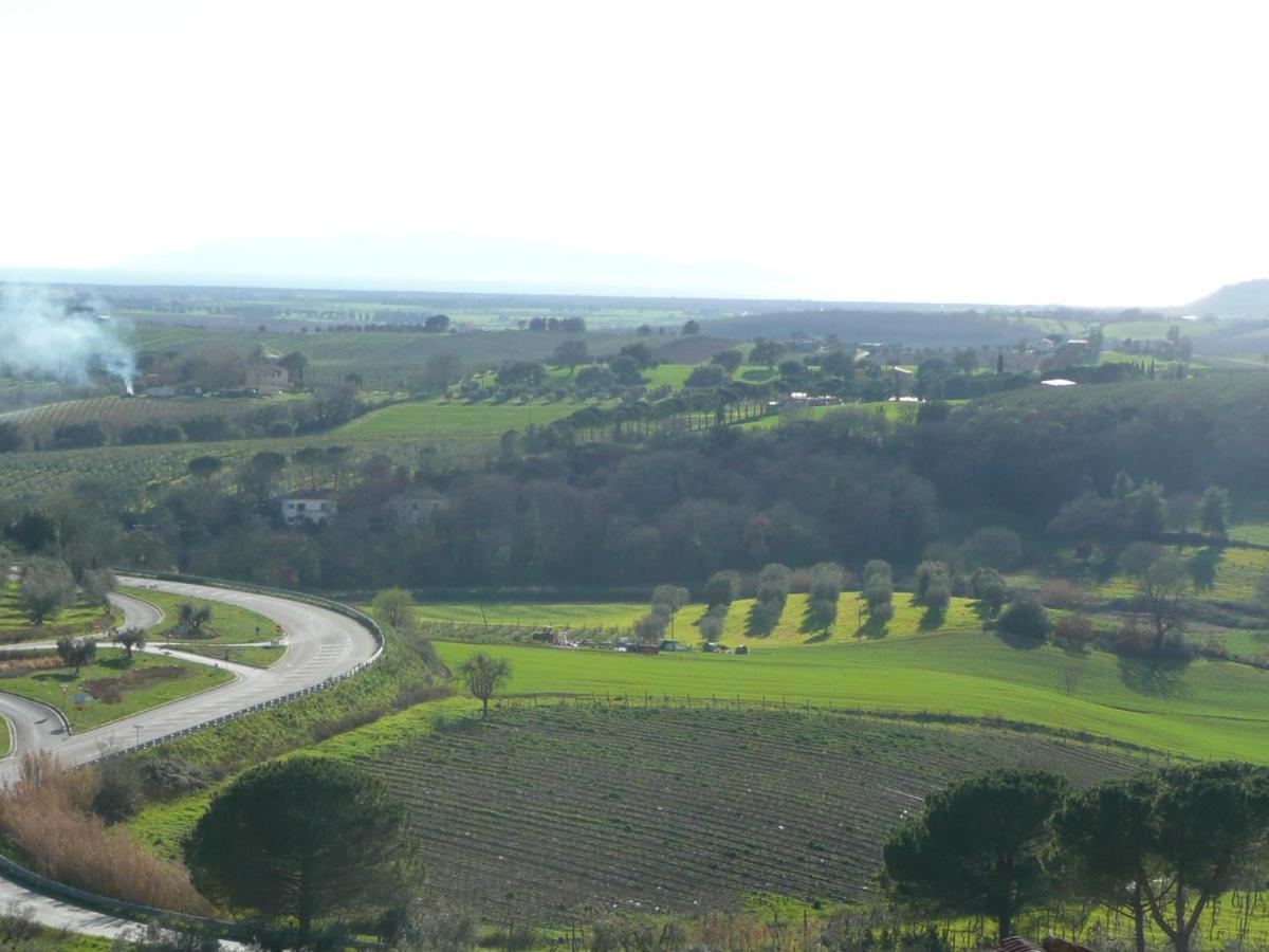 Artemisia Negli Ulivi B&B Magliano in Toscana Εξωτερικό φωτογραφία