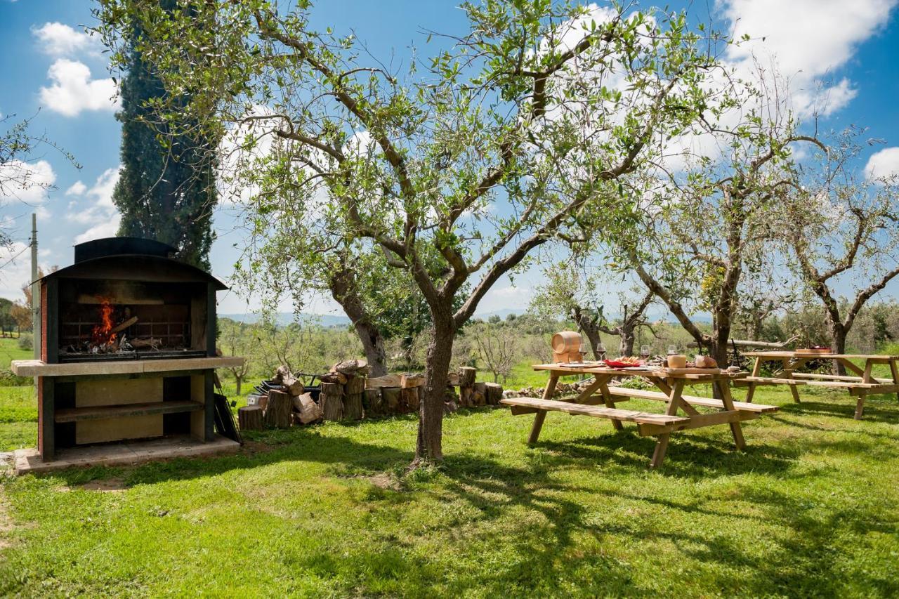 Artemisia Negli Ulivi B&B Magliano in Toscana Εξωτερικό φωτογραφία