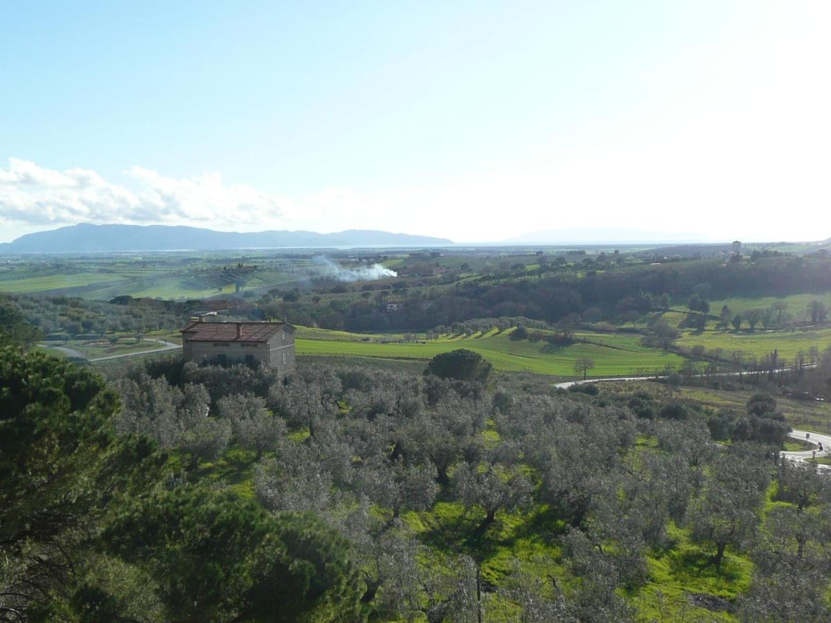 Artemisia Negli Ulivi B&B Magliano in Toscana Εξωτερικό φωτογραφία
