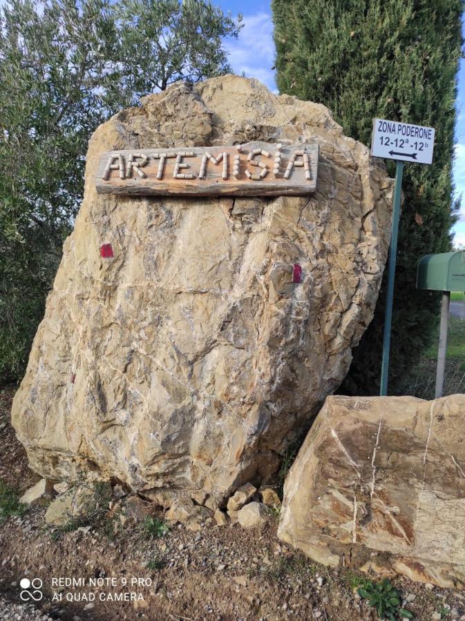 Artemisia Negli Ulivi B&B Magliano in Toscana Εξωτερικό φωτογραφία