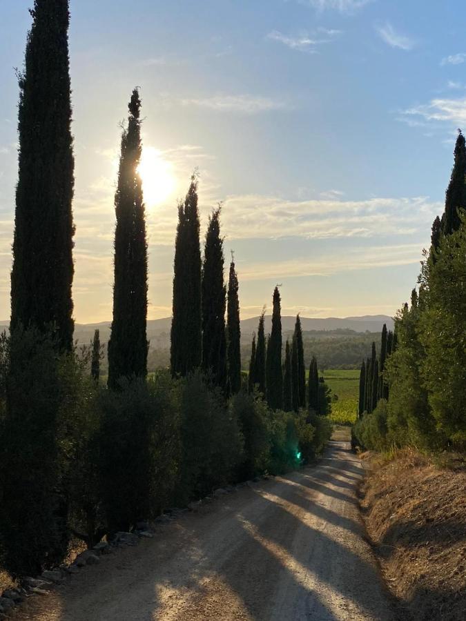 Artemisia Negli Ulivi B&B Magliano in Toscana Εξωτερικό φωτογραφία