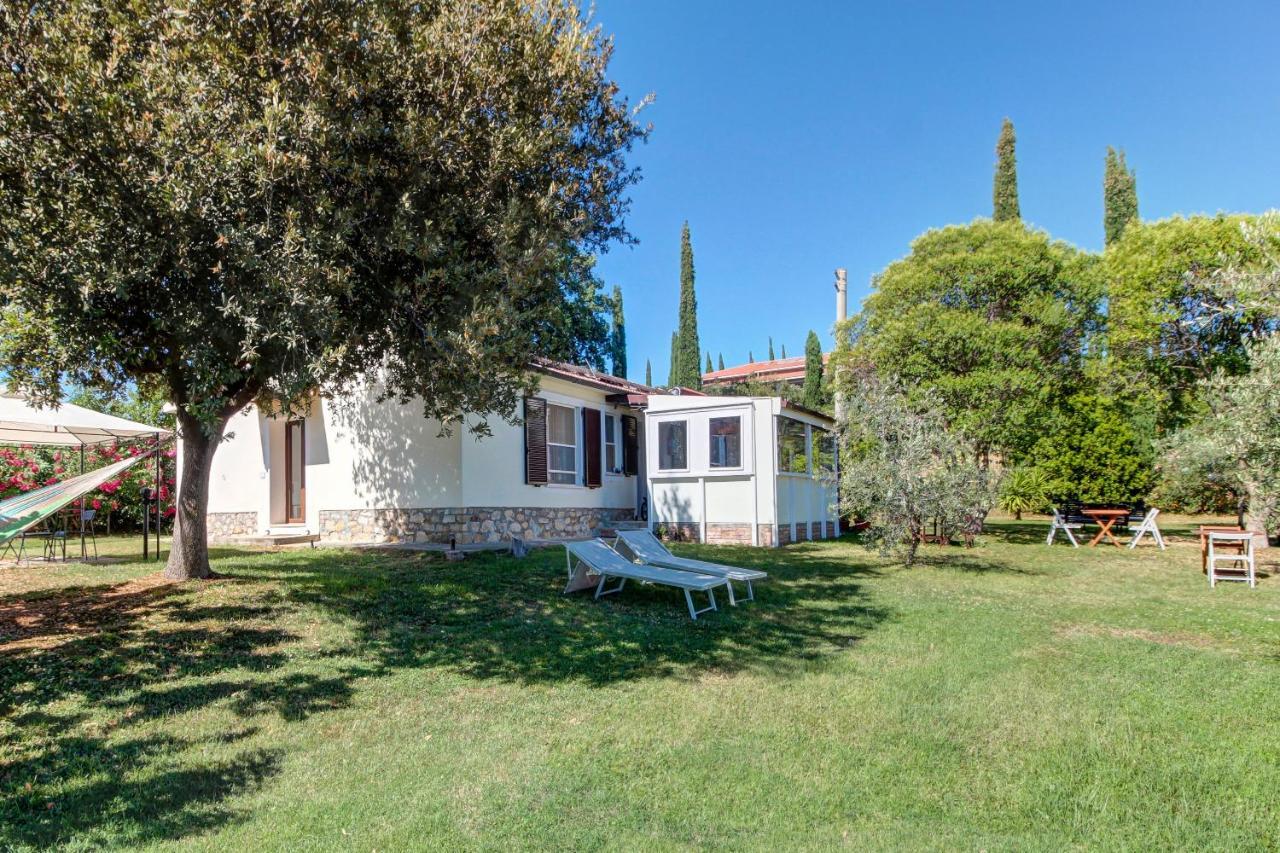Artemisia Negli Ulivi B&B Magliano in Toscana Εξωτερικό φωτογραφία