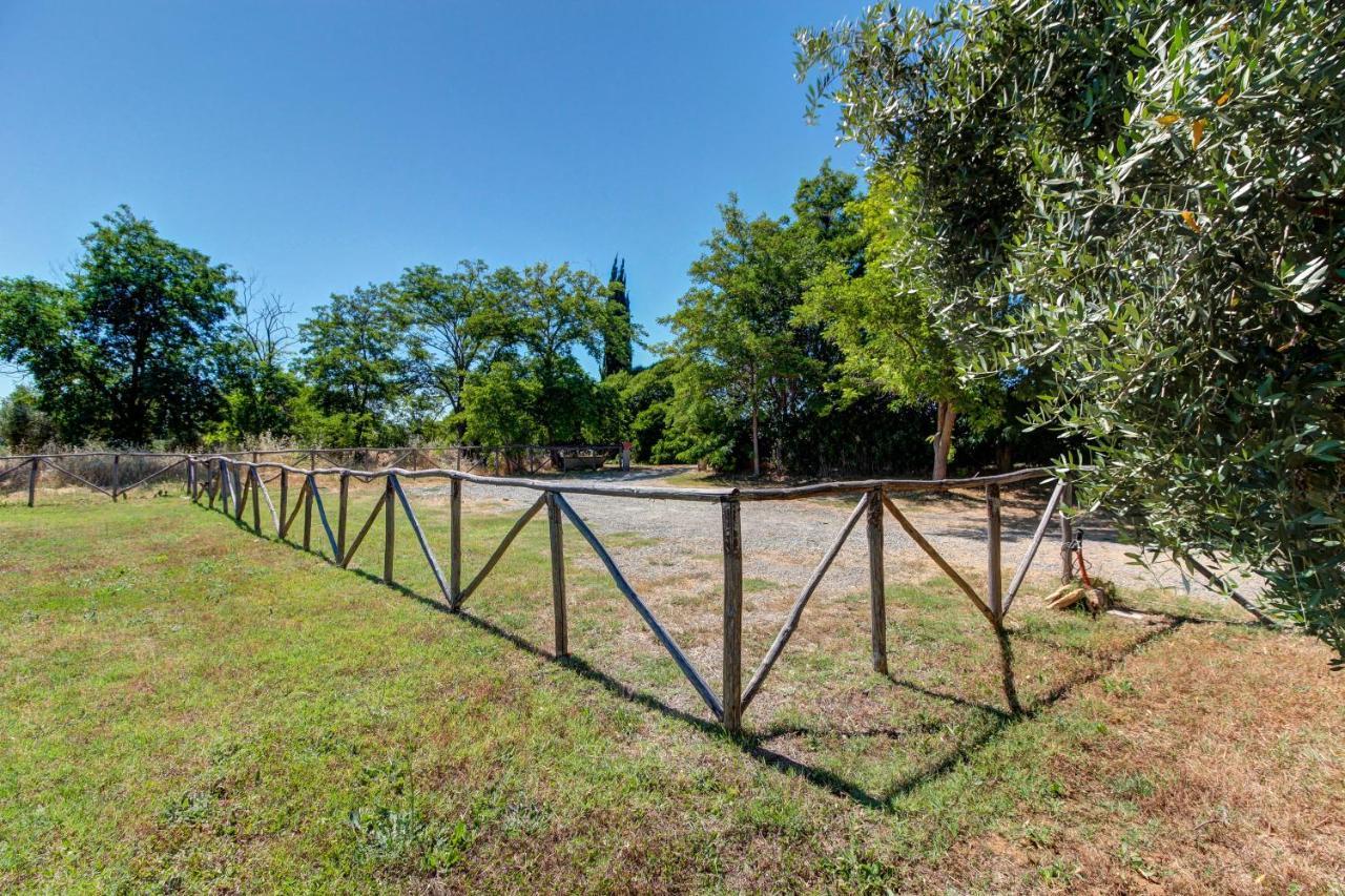 Artemisia Negli Ulivi B&B Magliano in Toscana Εξωτερικό φωτογραφία