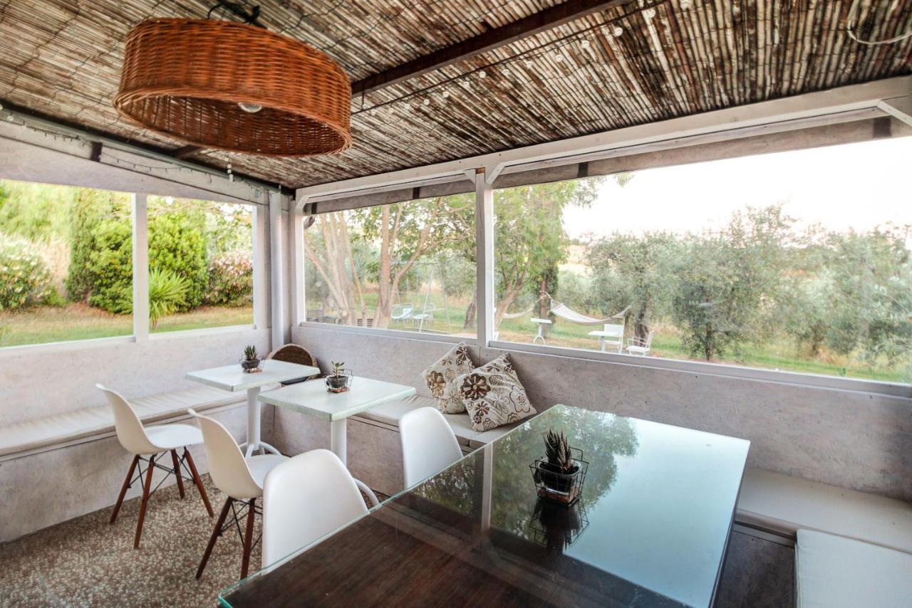 Artemisia Negli Ulivi B&B Magliano in Toscana Εξωτερικό φωτογραφία