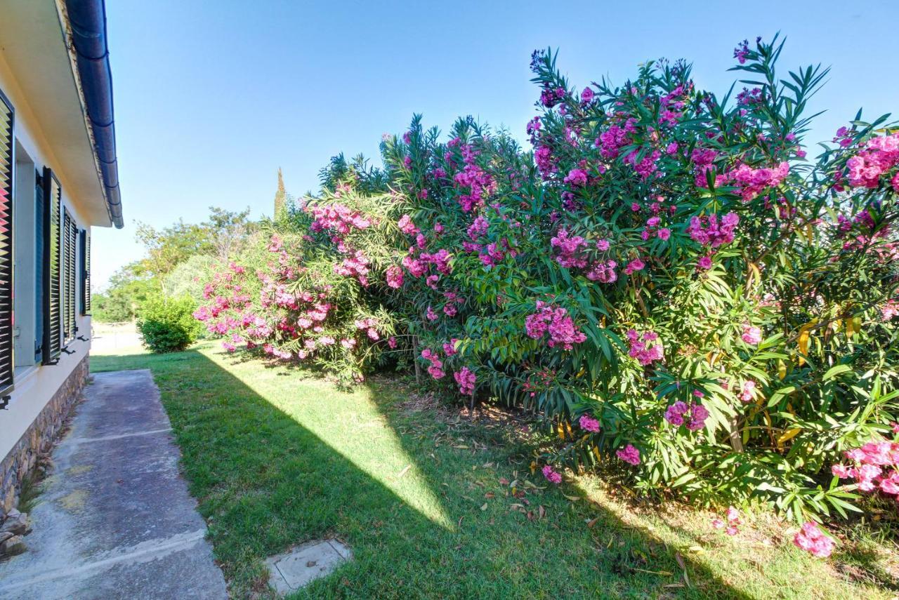 Artemisia Negli Ulivi B&B Magliano in Toscana Εξωτερικό φωτογραφία